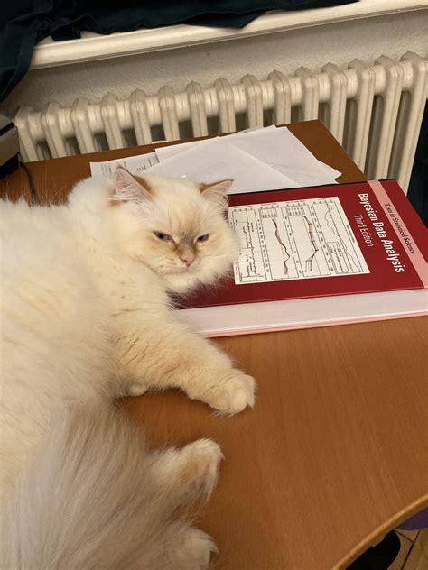 epistemic  aleatoric uncertainty  role  context statistical