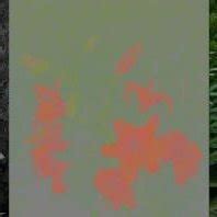 luminance  chrominance  full color image  luminance