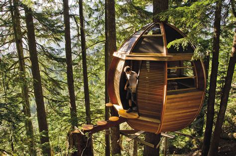 Tree houses for sale are becoming the ultimate luxury getaway 27