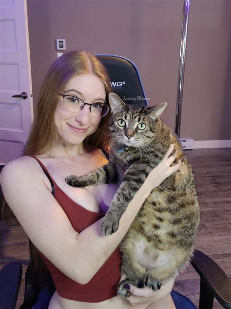 TW Pornstars - Lacey Bloom. Twitter. Happy National Pet Day (a day late