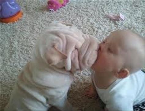 Awkward kisses - Gallery | eBaum's World