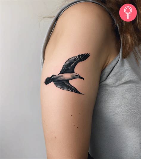 8 Albatross Tattoo Designs For Nature Enthusiasts