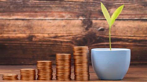 2 underdog microcap cash cows quietly raking in big profits - Stock ...
