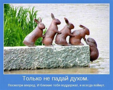 Картинки, Цитаты