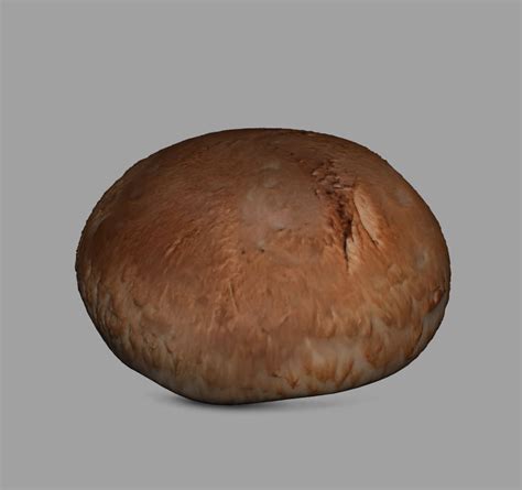 Реалистичный гриб 3D Модель $10 - .obj .ma - Free3D