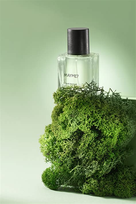 MAYME?: Cozy Niche ~ Fragrance Reviews