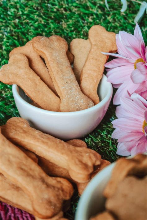 Block Rockin' Beets dog biscuit recipe - Lady & the Scamps