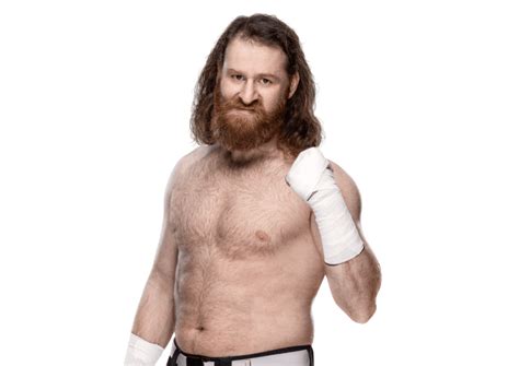 sami zayn profile  count