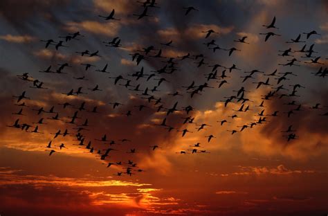 images nature cloud sky sunrise sunset sunlight morning