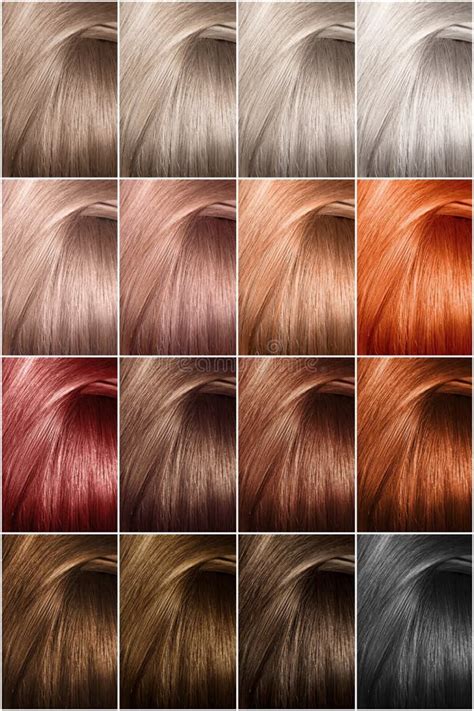 Todas As Cores De Cabelo - Cartela De Cores De Cabelo Natural Paleta De Cores Do Cabelo Com Uma