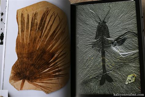 evolution  visual record book review halcyon realms art book