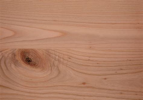 Knotty Cherry tree - von Rickenbach wood