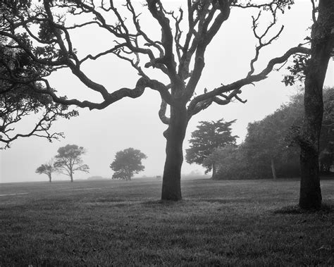 Molly Peters | Catalog