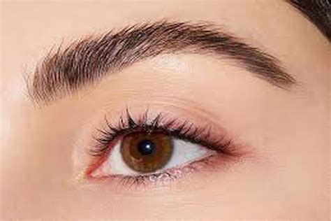 moko beauty studio brows philadelphia hair salon