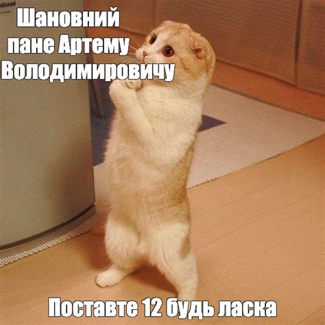 Создать мем "cat, кошка, ксюша прости" - Картинки - Meme-arsenal.com