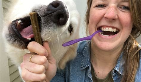 3 Ways To Reduce Your Dog's Stinky Breath – Missing Link Products