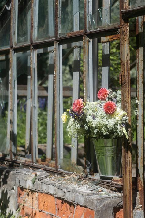 Julia Ann Photos, Download The BEST Free Julia Ann Stock Photos & HD Images