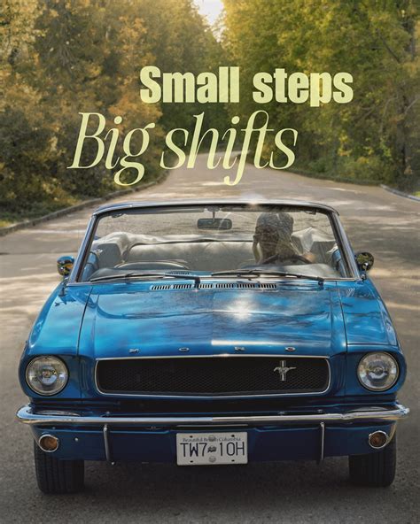 Lily / Vancouver 🌳 (@lilyermak) • Instagram photos and videos