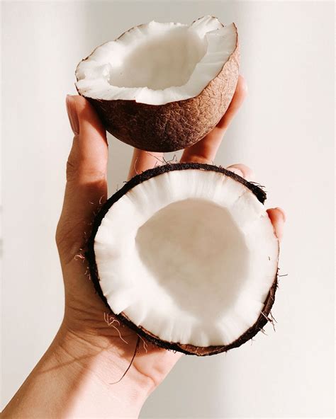Can Dogs Eat Coconut? A Coconut Guide for Dogs | Kabo