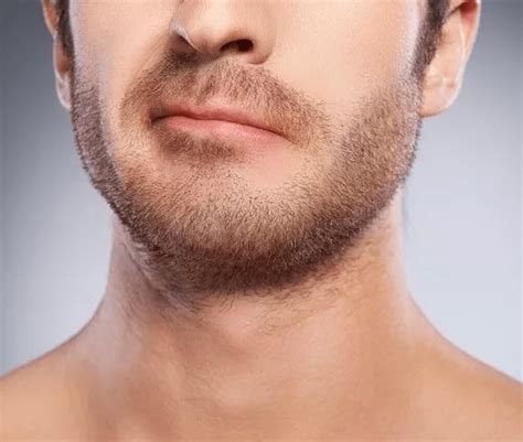 designer stubble wild willies