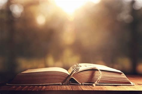 thousand open bible royalty  images stock  pictures