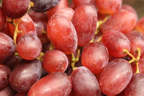 Seedless Grapes