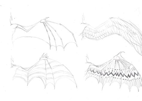 Dragon Wings Sketch at PaintingValley.com | Explore collection of ...