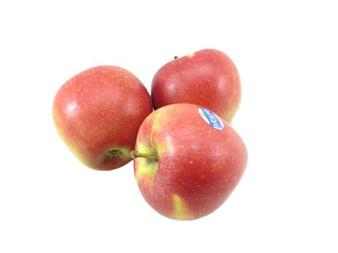 kanzi de betuwe aan huis