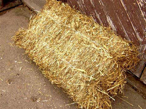 Продам солому в тюках с доставкой в Запорожье – Оголошення Agrostory