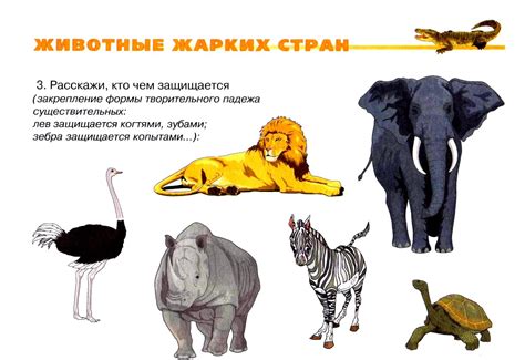 Планета Речи: Животные жарких стран
