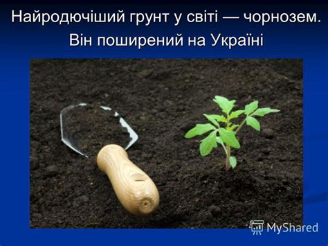 Презентация на тему: "Грунт Грунт Грунт. Ґрунт це верхній шар земної ...