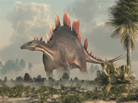 Plant Eating Dinosaurs - Herbivores - Animal Corner