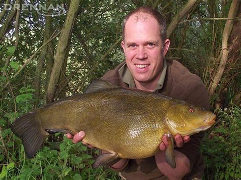 lb tench  hair rigged casters drennan international