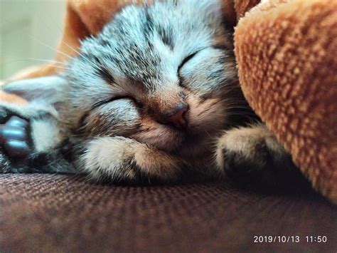 If you follow my New Instagram account (kitty._.bella) I'll be very