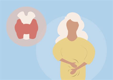 Why Does Hypothyroidism Slow Gut Motility Causing Constipation