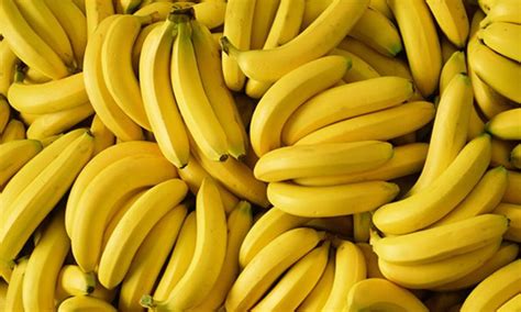 uri ng saging sa pilipinas pinas lumaki