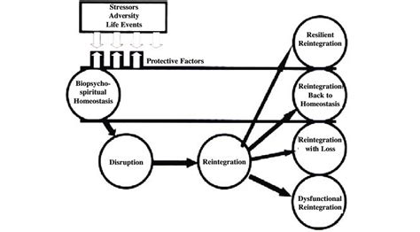 resiliency model adapted  richardson   scientific diagram