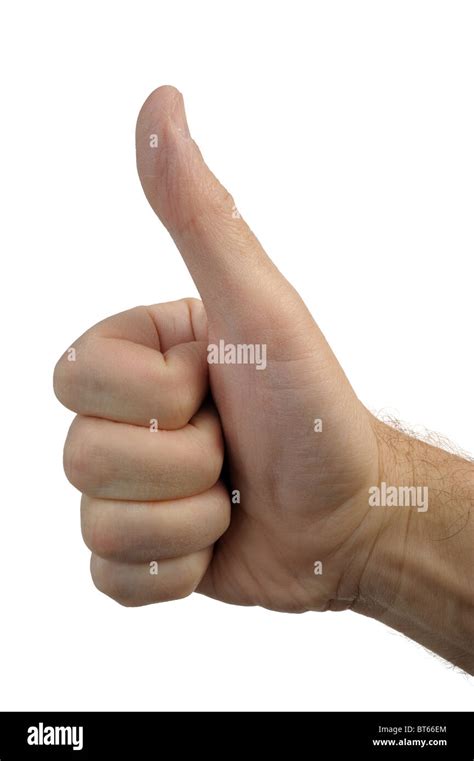 gesture  cut  stock images pictures alamy