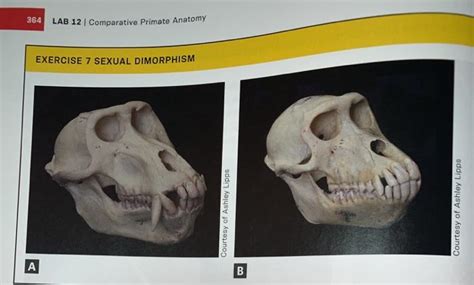 Solved Work in a small group or alone to complete this | Chegg.com 
