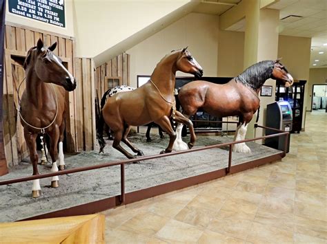 A cochrane ab secret was found in the old ranch house