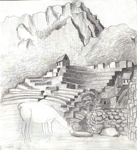 machu picchu drawing 8