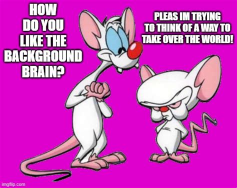 pinky and the brain - Imgflip