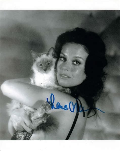 Lana Wood | snow