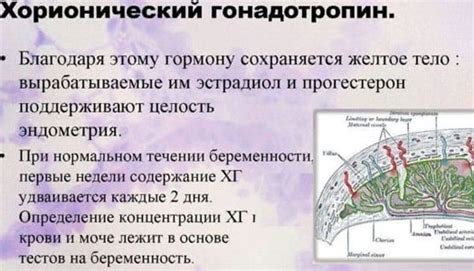 Тесты на беременность. Как пользоваться: электронный, струйный ...