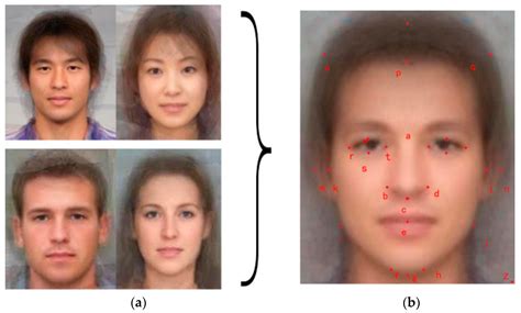 A Study of Facial Features of American and Japanese Cartoon Characters
