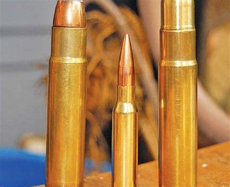 577 Tyrannosaur | Rifle Ammunition | Gun Mart