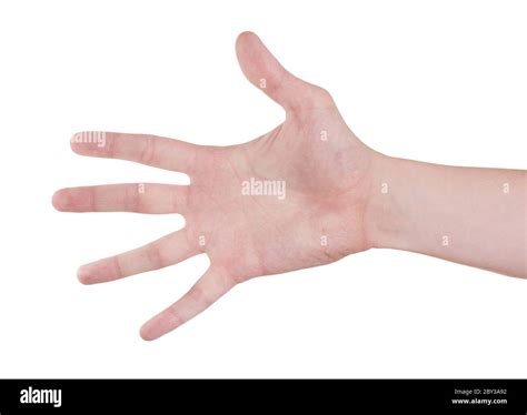 opened hand gesture isolated  white background stock photo alamy