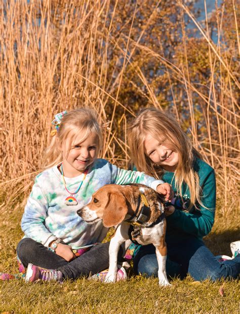 Dane4Dogs unites Madison locals and students to educate and end inhumane dog experimentation