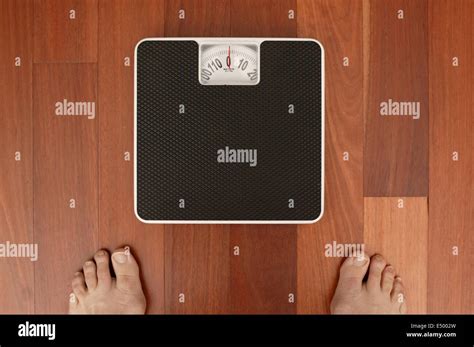 weighing room  res stock photography  images alamy