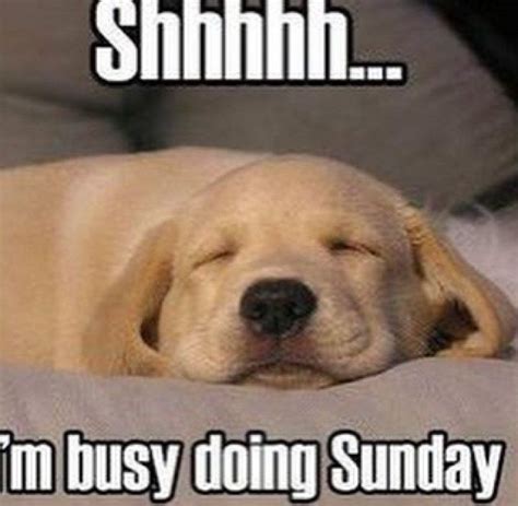 27 Funny Sunday Memes That Are Perfect for Lazy Sundays | Funny sunday ...